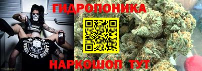 стаф Бузулук