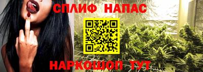 стаф Бузулук