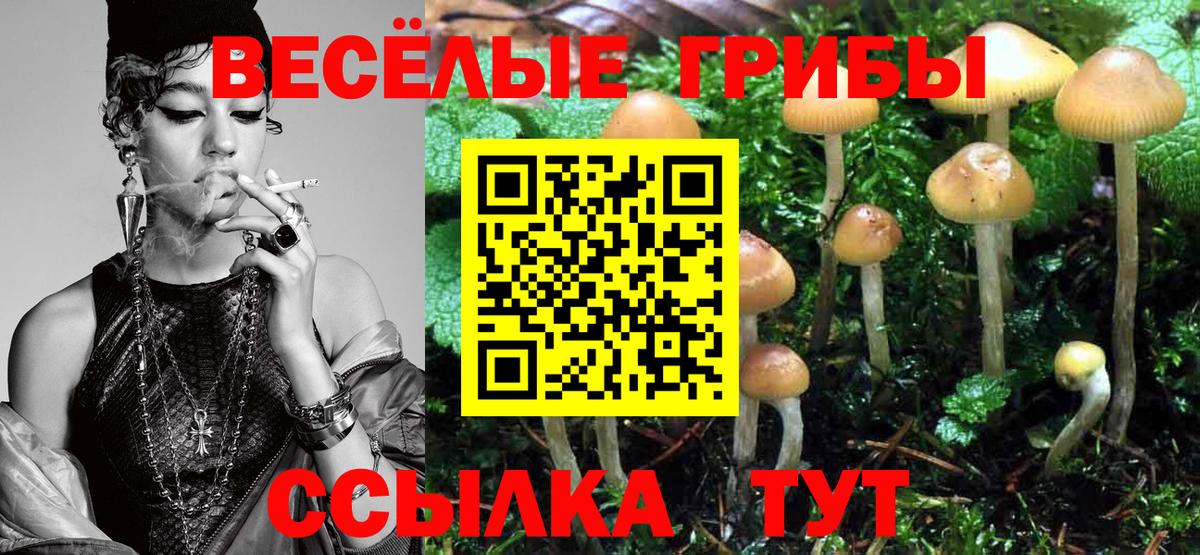 наркошоп  Вход с VPN  Галлюциногенные грибы мухоморы  Петрозаводск  Галлюциногенные грибы Psilocybine cubensis 